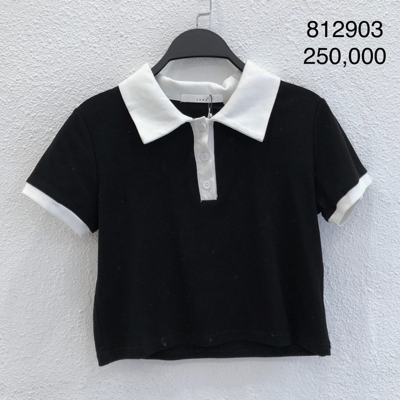 Áo thun polo croptop LEN clothing 3 màu 8129 | BigBuy360 - bigbuy360.vn