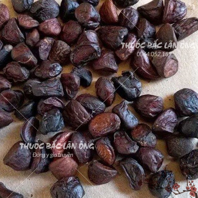 Hạt Dổi Nếp Tây Bắc 50g  - Hạt dổi rừng