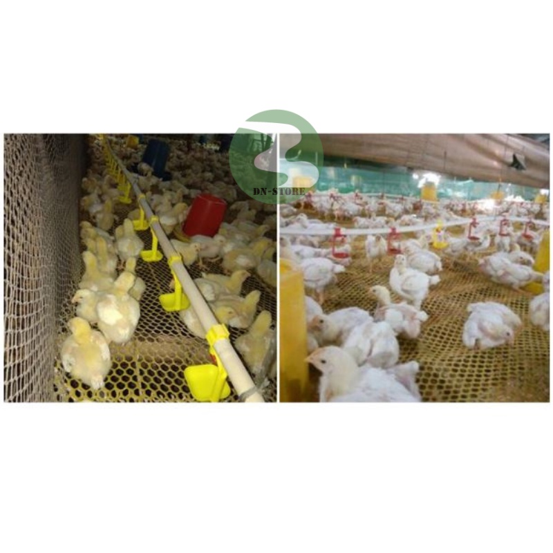 Máng uống nước tự động cho gà Dương ninh cho chim bồ câu MU44