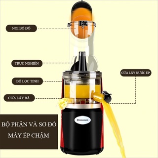 Máy ép chậm hoa quả Hongxin RH313 phiên bản mới cải tiến bảo hành 12 tháng