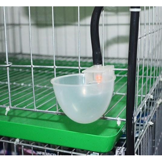 Doremiu- Bộ Máng uống bồ câu tự động (Chén kèm tút chữ T rẽ nhánh) bằng nhựa màu trắng siêu bền