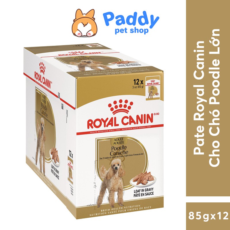 [Hộp 12 gói] Pate Royal Canin Cho Chó Poodle Trưởng Thành