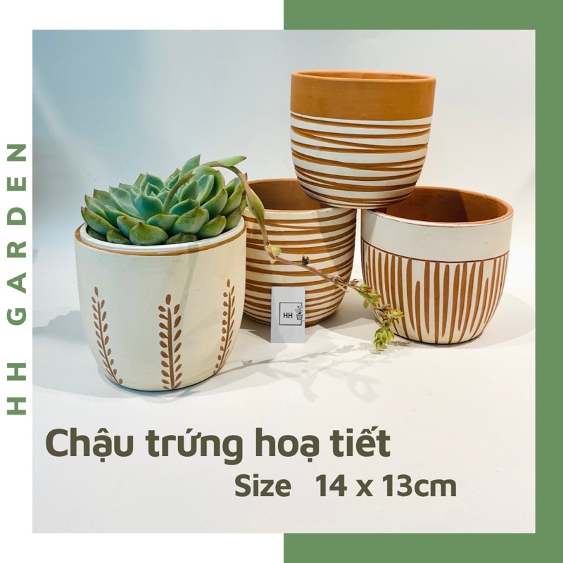 Chậu đất nung Trứng hoạ tiết, Chậu Wax vintage, Size 14x13cm Terracotta pots