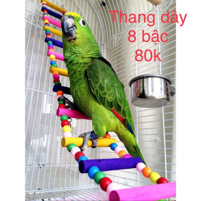 Thang dây lõi thép trang trí lồng chim/ cầu đậu