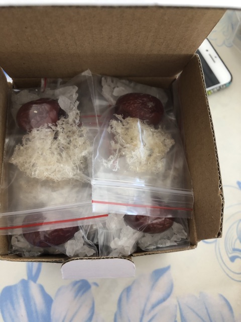 Yến túi chia sẵn siêu tiện lợi cho bé | BigBuy360 - bigbuy360.vn