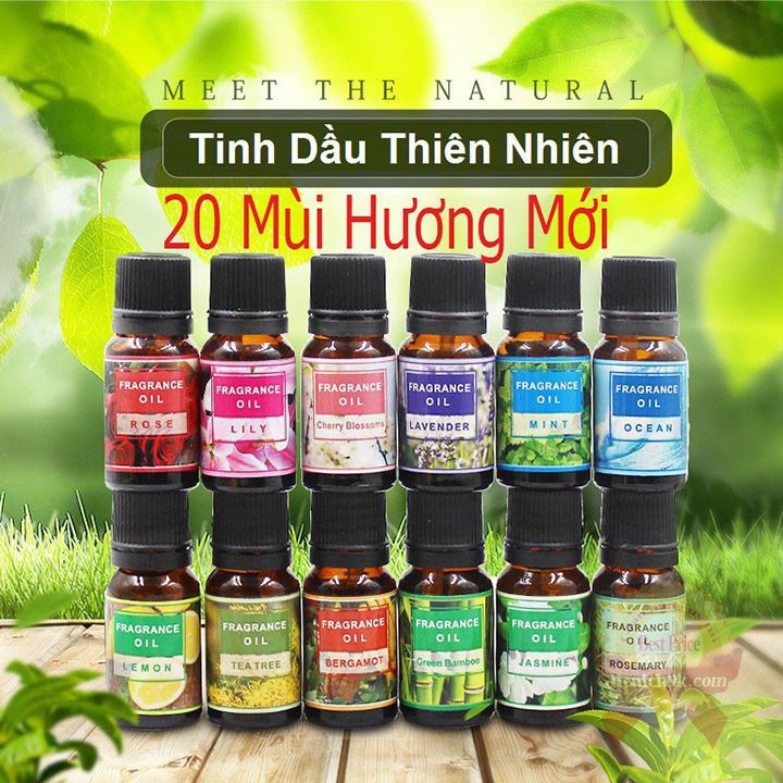 Tinh dầu thiên nhiên 10ml FraGrance cô đặc đuổi muỗi thơm phòng dùng cho đèn xông máy khuếch tán – Nhập Khẩu