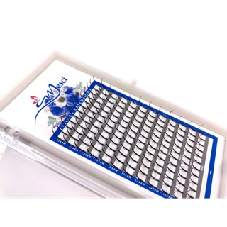 Lông Mi trụ  và Lông mi trụ Sole - mi katun - mi làm tia - mắt ướt