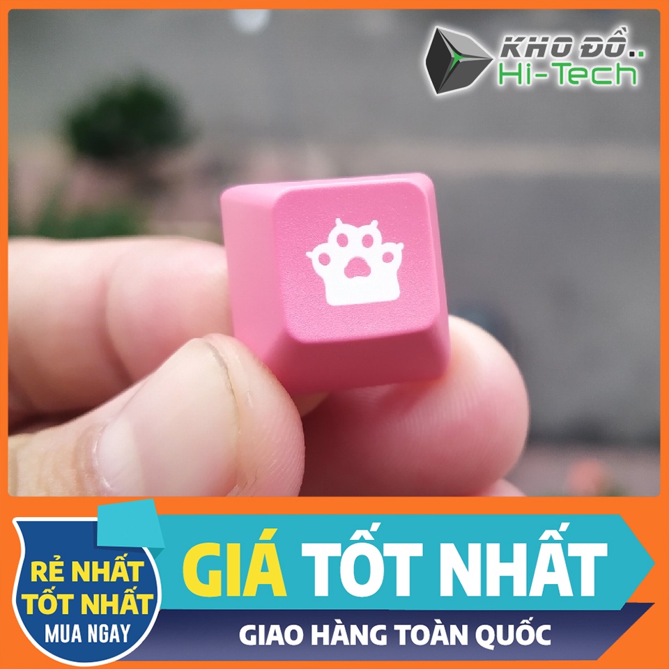 Nút keycap ASA profile lẻ 💖 𝘍𝘳𝘦𝘦𝘴𝘩𝘪𝘱 💖 Keycap Akko - ASA Profile chất lượng cao