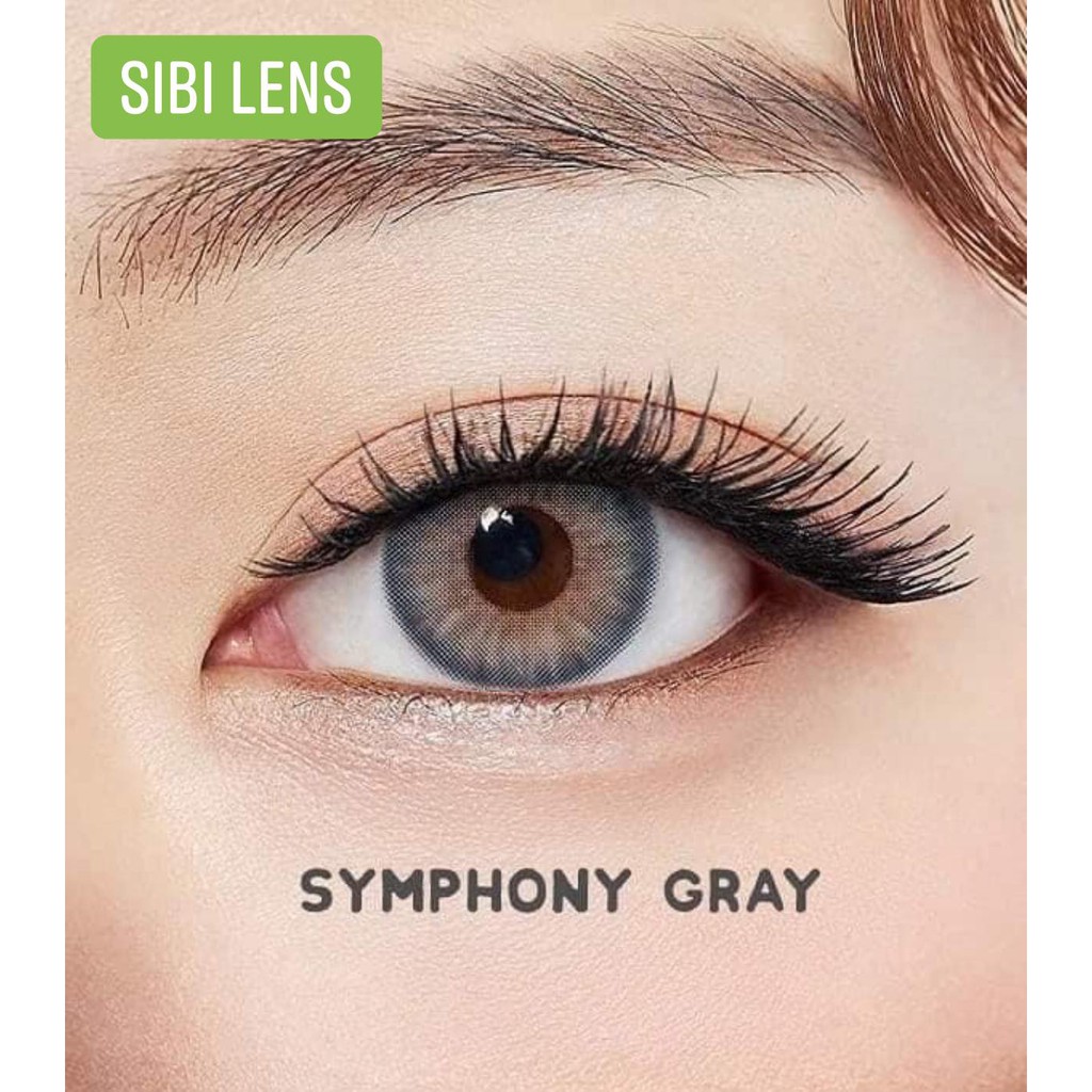 Lens Symphony Gray - Lens Chuẩn Thái - Cam Kết Chính Hãng