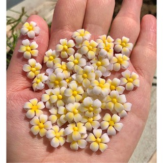 Hoa sứ nail