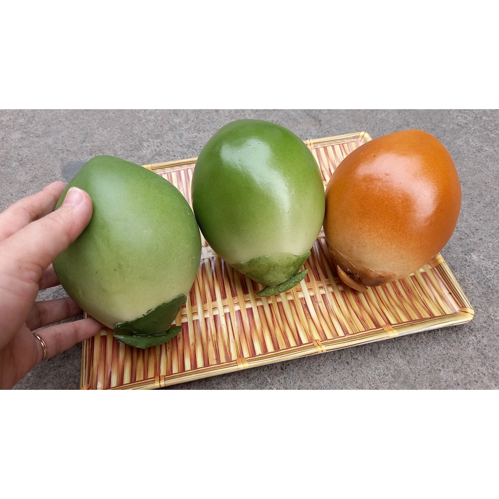 1 Trái dừa non giả - trái cây giả - Hương Flower