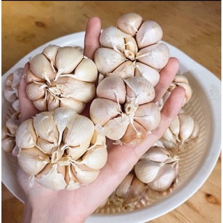 1 kg tỏi củ tép to thơm ngon