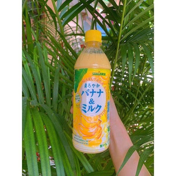 SỮA MILKY RAIN, SỮA TRÁI CÂY | BigBuy360 - bigbuy360.vn