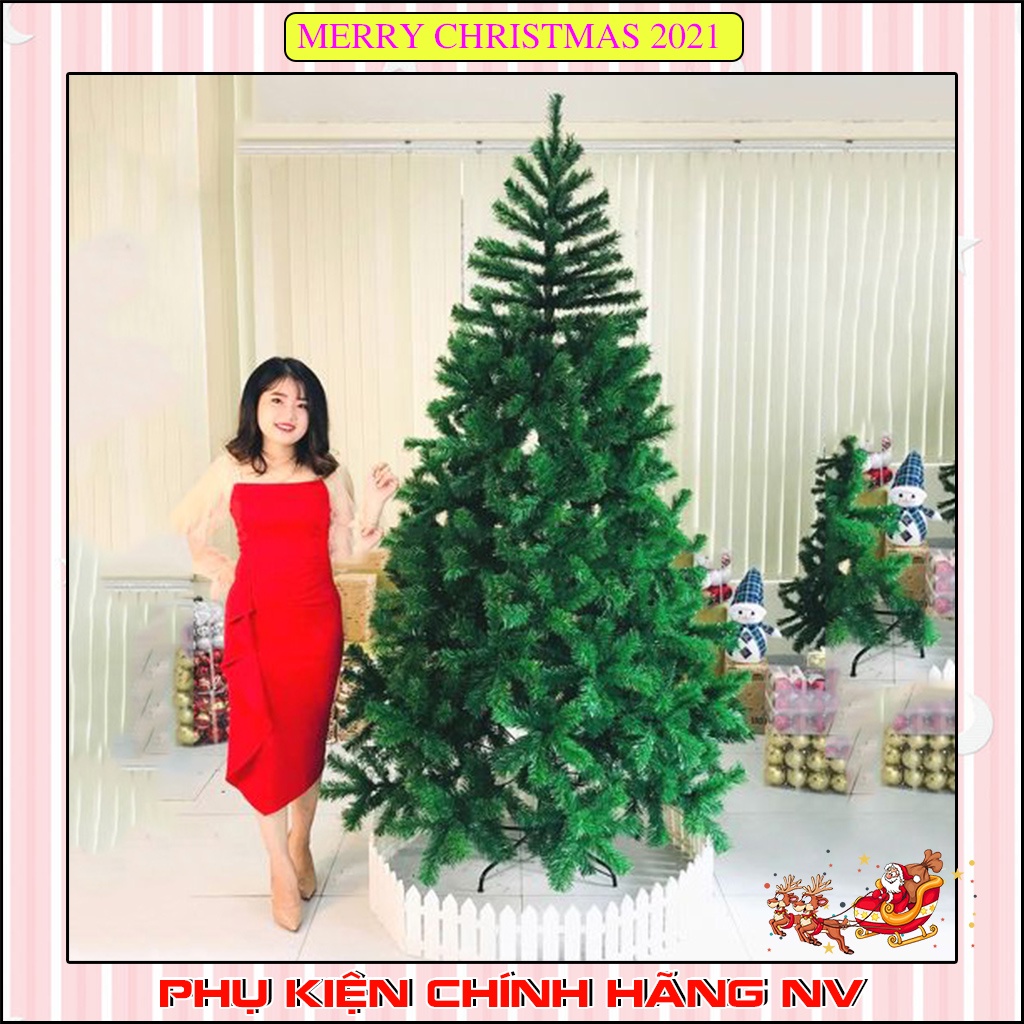 Cây thông noel 2m4 trang trí giáng sinh cho nhà cửa, phòng khách, phòng ngủ kèm dây kim tuyến và ngôi sao đẹp lung linh