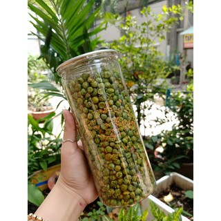 ĐẬU HÀ LAN TỎI ỚT