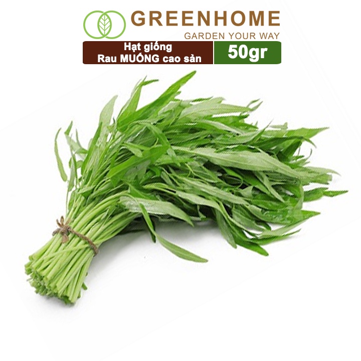 Hạt giống rau Muống cao sản, gói 50g, dễ trồng, thu hoạch nhanh R09 |Greenhome