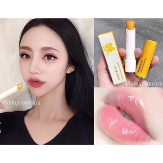 Son Dưỡng Môi Innisfree Canola Honey Lip Balm