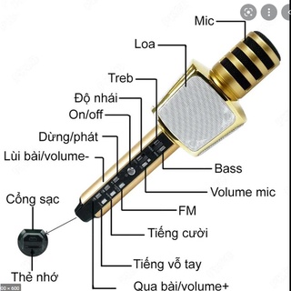 Micro Bluetooth Hát Karaoke SD-8 sd10 10 10w