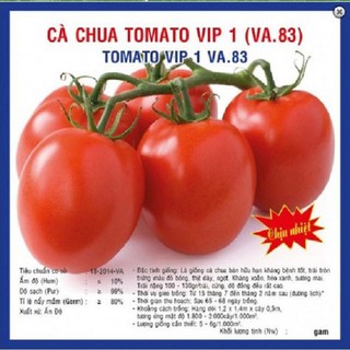 0,5 gam hạt giống cà chua tomato Vip1