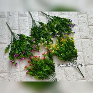 CDNGAU- Cành điểm hoa ngâu hạt