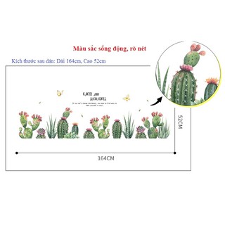 Decal giấy dán tường [MẪU MỚI] Decan hoa mùa hè