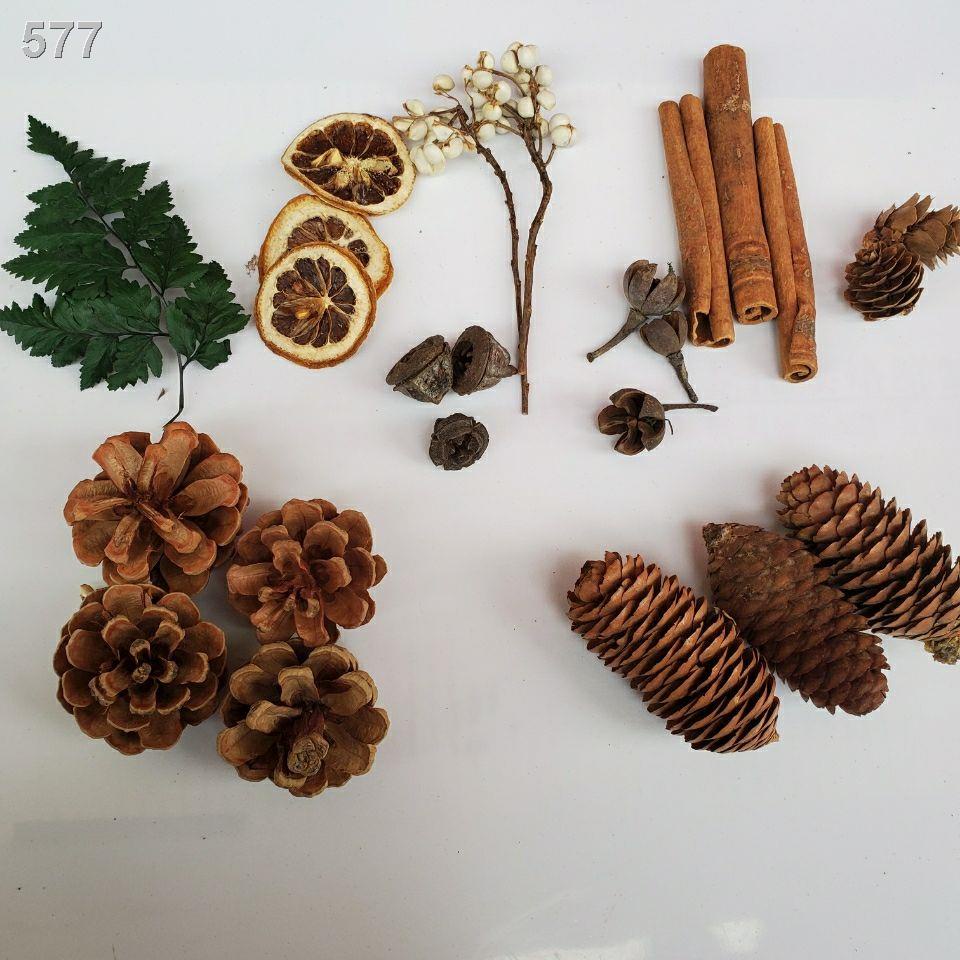 Nón thông, gỗ vụn, lá, hoa khô, bộ kết hợp trái cây đồ trang trí mẫu giáo, đạo cụ chụp ảnh cổ điển