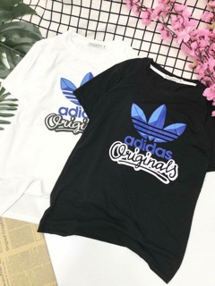 Combo Lê Quỳnh Hương