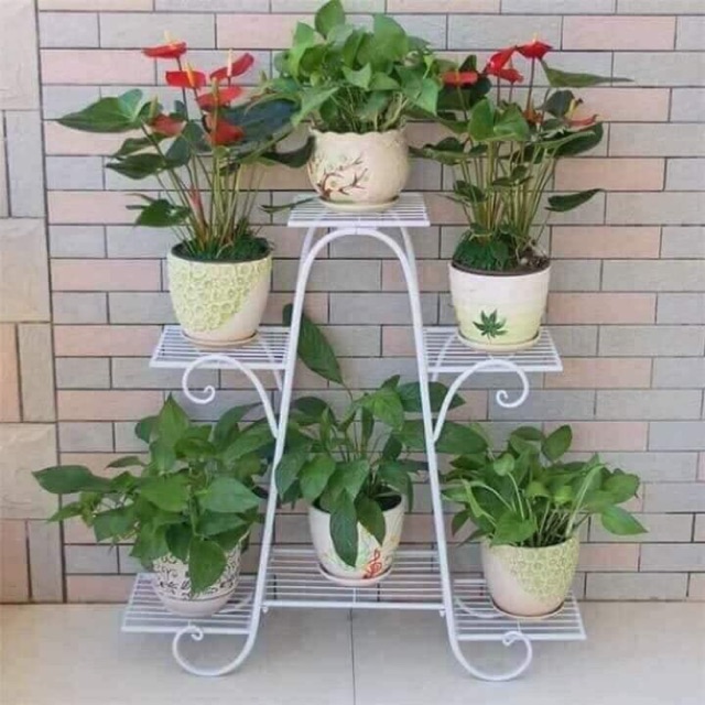 Kệ Cây Cảnh 6 tâng