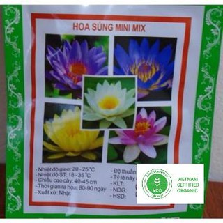 5 Hạt giống Súng thái (kèm Hướng dẫn ươm) THUTHUY