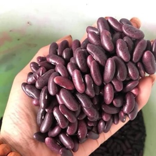 1Kg Đậu Đỏ Tây (Đậu Thận / Đỗ Thận) Giống Thuần Chủng, Loại To ngon bở _ Nấu xôi, nấu cháo, Nấu Chè Súp Hầm Gà, làm mứt