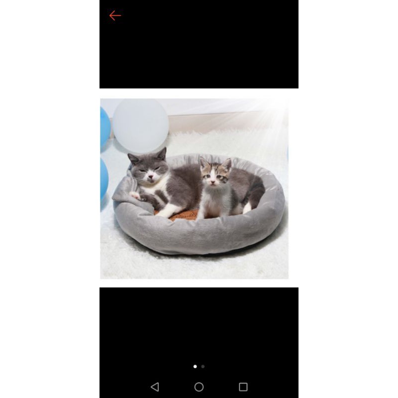 nêm tròn cho chó mèo đường kính 50cm (tặng gối nằm)