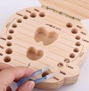 Hộp đựng răng sữa