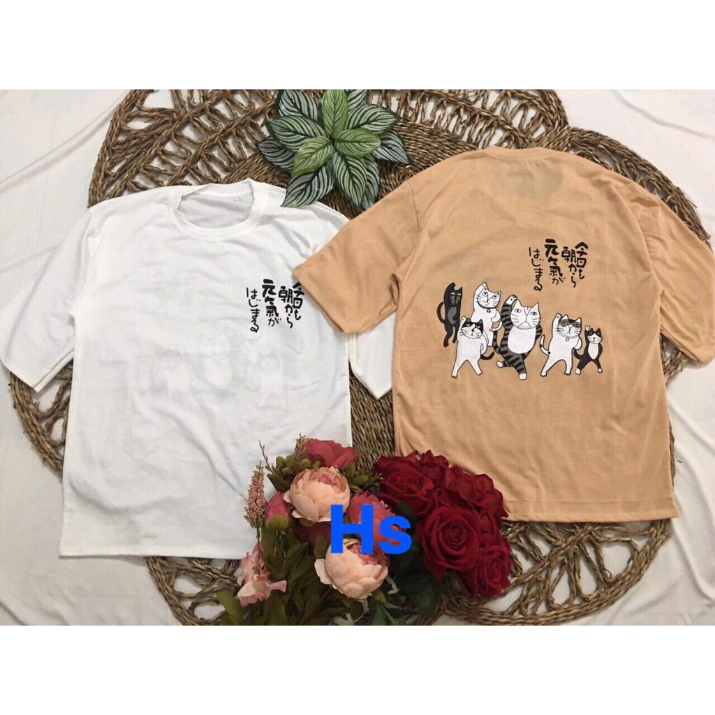 Áo phông nữ sáu mèo in lưng HSU0319