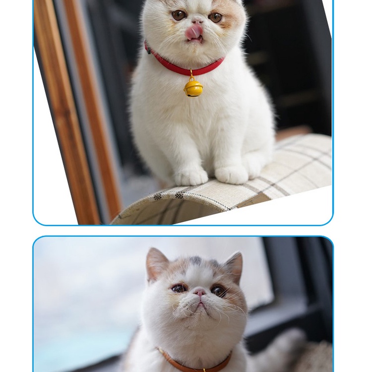 Vòng Đeo Cổ Hoạt Hình Xinh Xắn Cho Thú Cưng