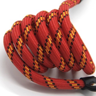[LXPET] Dây dắt chó đi dạo bằng nylon