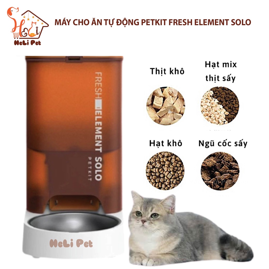 Máy Cho Ăn Tự Động, Máy Nhả Hạt Cho Mèo PETKIT Fresh Element SOLO - Máy cho ăn thông minh PETKIT Solo