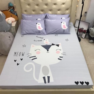 Bộ ga gối cotton poly 5d - mèo ghi