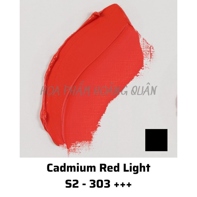 Sơn Dầu Hà Lan VanGogh 200ml - Seri 2 - Hạng Họa Sỹ