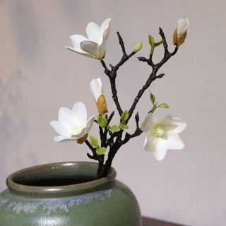 Hoa mộc lan cao cấp