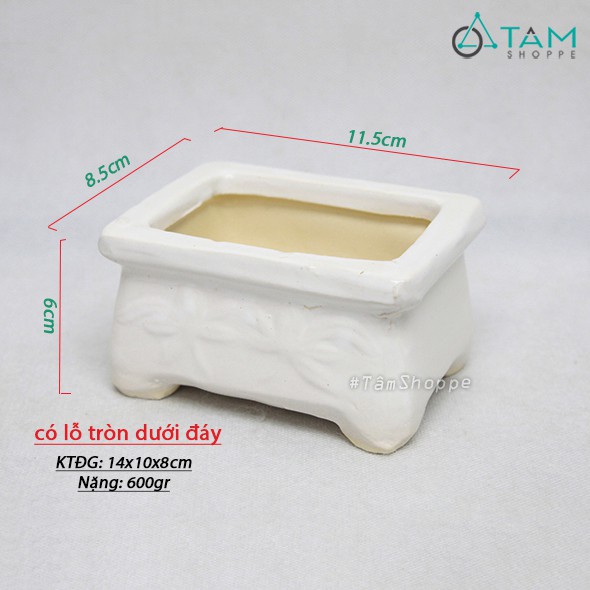 Chậu gốm trắng nhỏ trồng cây hình chữ nhật CE-CGMN-01
