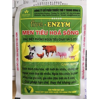 Men tiêu hóa sống - five enzyme - phòng ngừa tiêu chảy (50gam) - chỉ dùng trong thú y