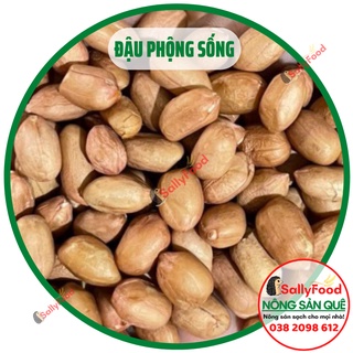 500gr Đậu Phộng Sống Hữu Cơ SallyFood Sạch Không Chất Bảo Quản (Lạc Nhân Sống Tươi) Nông Sản Quê