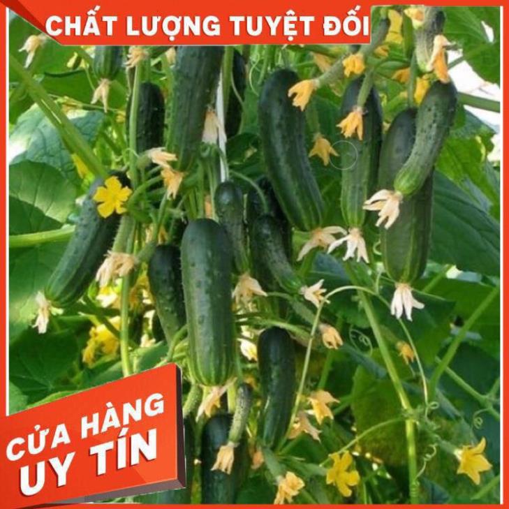 PHÂN BÓN KÍCH HOA⚡️HÀNG CHÍNH HÃNG⚡️DƯỠNG HOA,TĂNG ĐẬU QUẢ,KÍCH RA HOA ĐỒNG LOẠT,TĂNG ĐẬU TRÁI,CHỐNG RỤNG HOA 2
