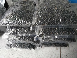 Đậu đen xanh lòng