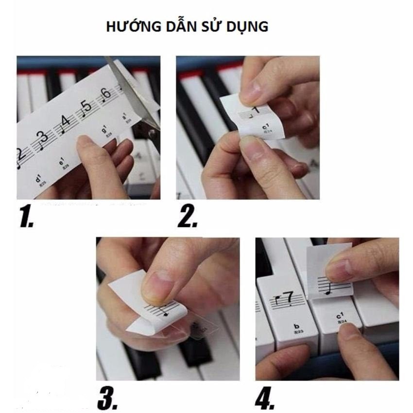 STICKER NỐT NHẠC CHO PIANO VÀ ĐÀN ORGAN - DECAL DÁN PHÍM