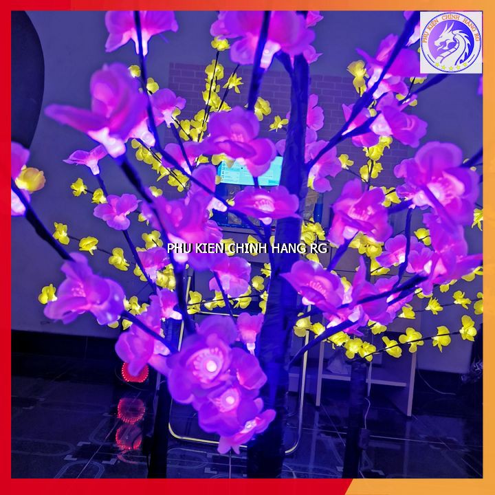 Cây Mai Cây Đào Trang Trí Nhà Cửa Trưng Ngày Lễ Tết Cực Lung Linh