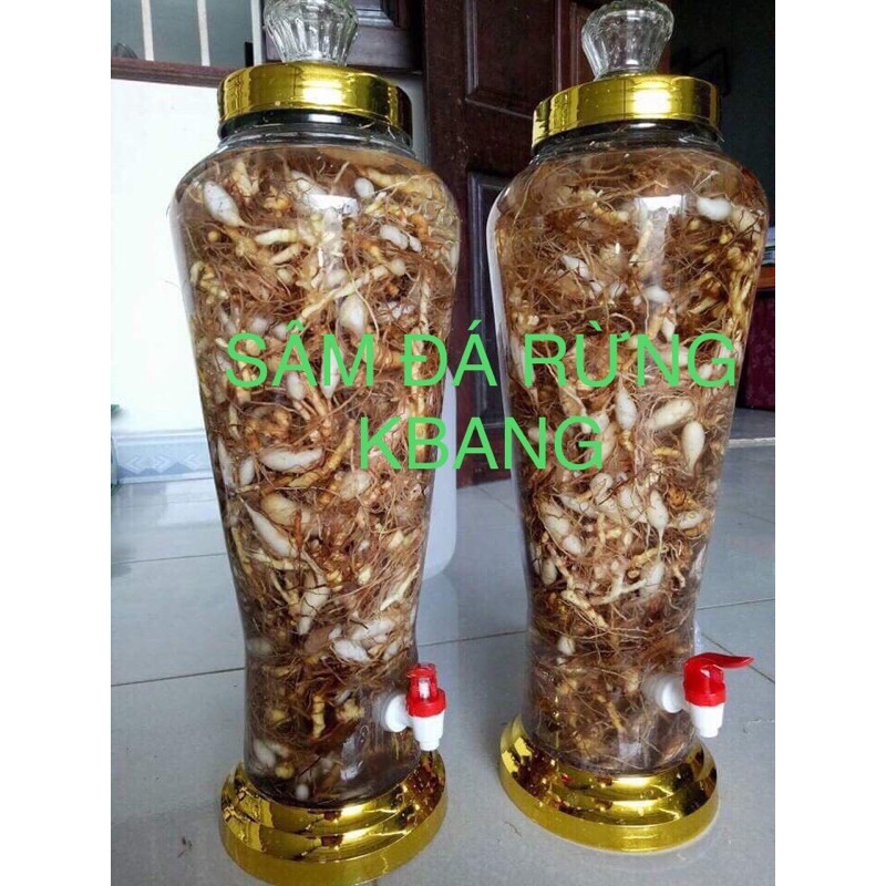 SÂM ĐÁ RỪNG KONKAKINH KBANG 1kg