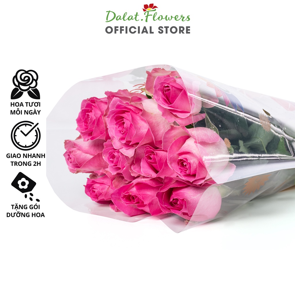 Hoa Hồng Premium 10 cành Đà Lạt Nhiều Màu Dalat.flowers - Hoa tươi thật trang trí nhà cửa, văn phòng
