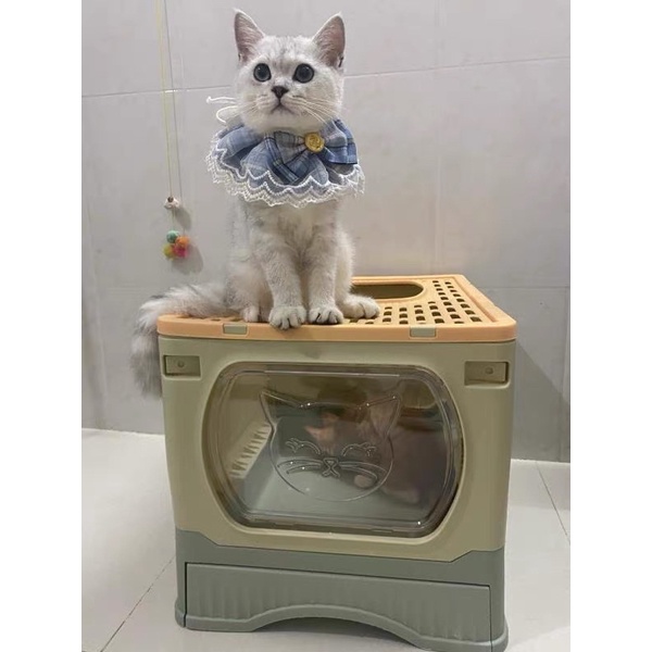 Nhà vệ sinh cho mèo  2 cửa chống văng cát size lớn BECHON