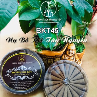 NỤ BỒ KẾT xông nhà diệt khuẩn và đuổi muỗi, côn trùng - HƯƠNG SẠCH TÂN NGUYÊN
